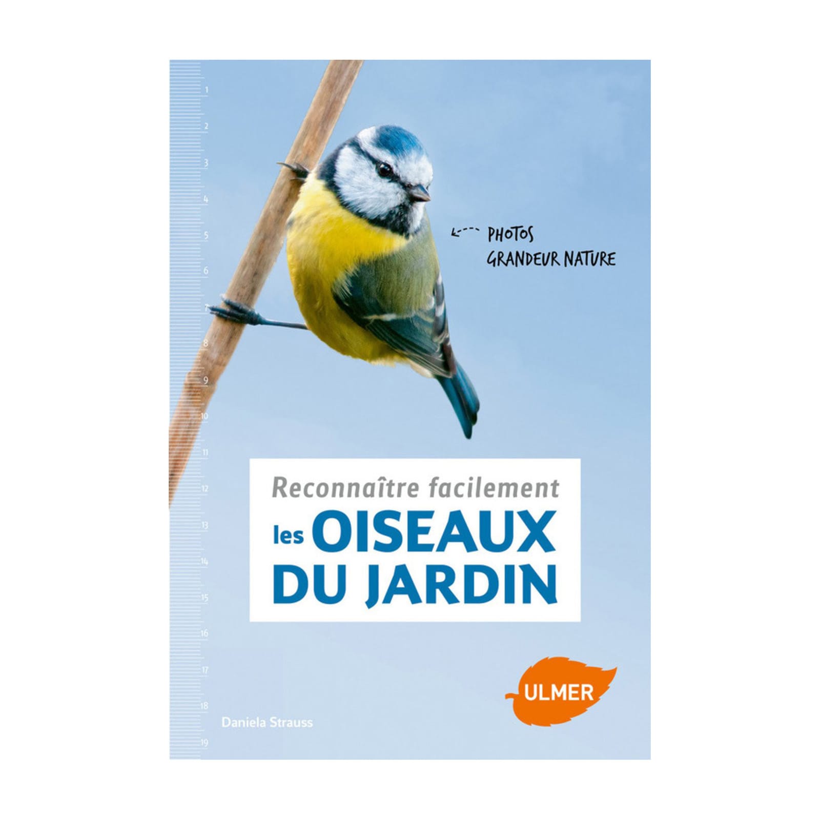 Reconnaître Les Oiseaux Du Jardin Nature Découvertes