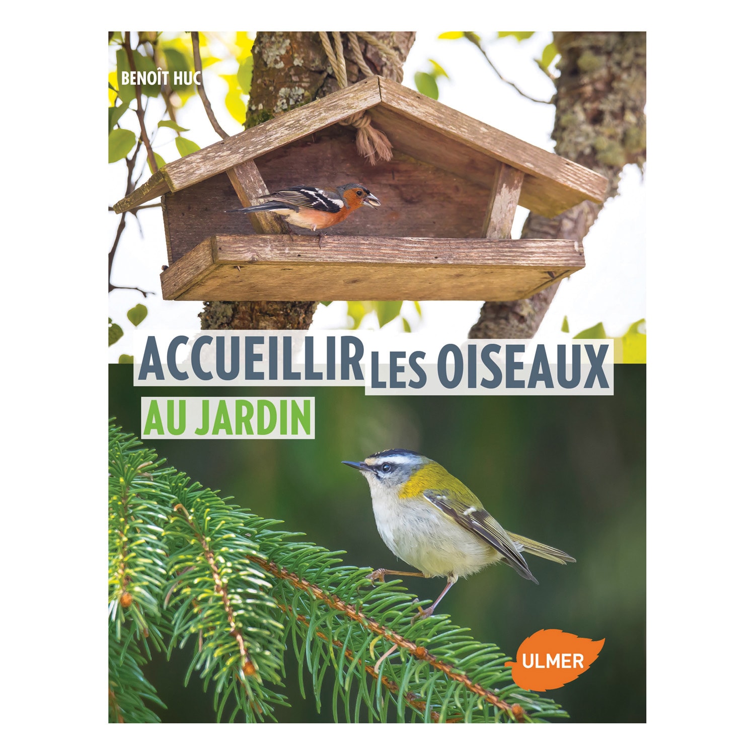 Accueillir les oiseaux au jardin