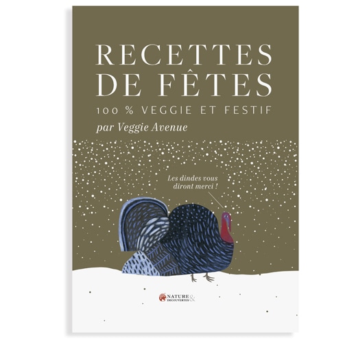 Recettes de fêtes veggie