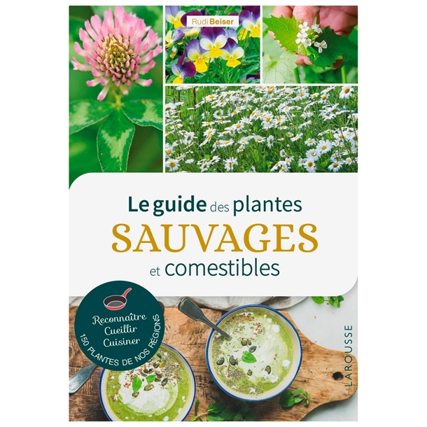 Guide des plantes sauvages comestibles