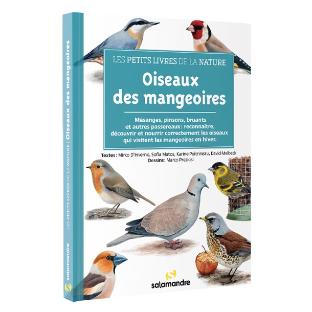 Les oiseaux des mangeoires