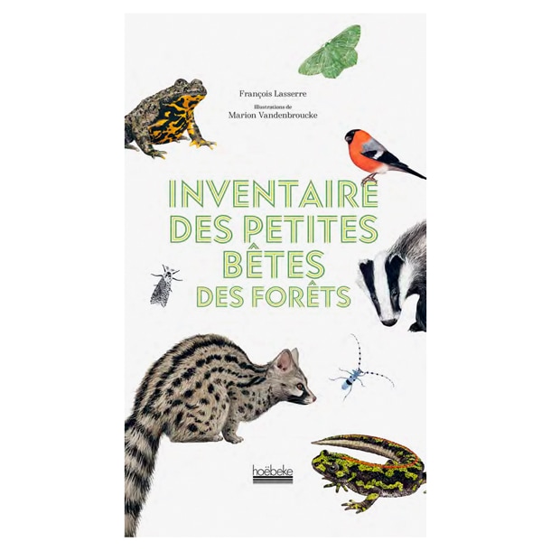 Inventaire des petites bêtes des forêts