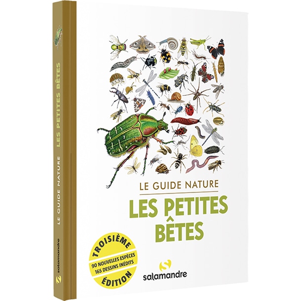 Guide nature - les petites bêtes