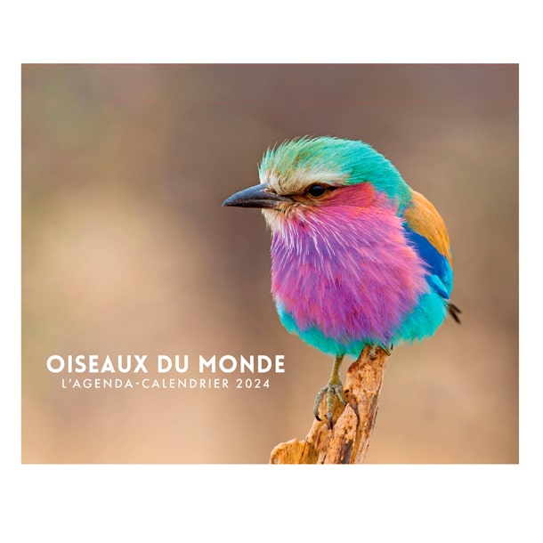 Agenda-calendrier oiseaux du monde 2024