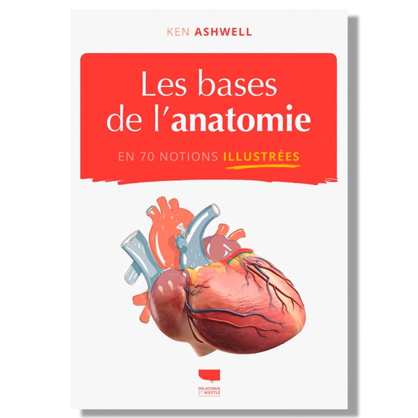 Les bases de l'anatomie illustrées