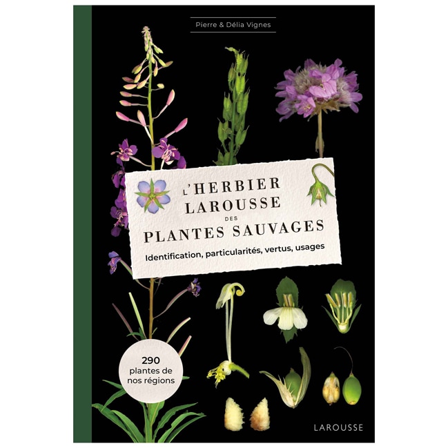 L'Herbier des plantes sauvages