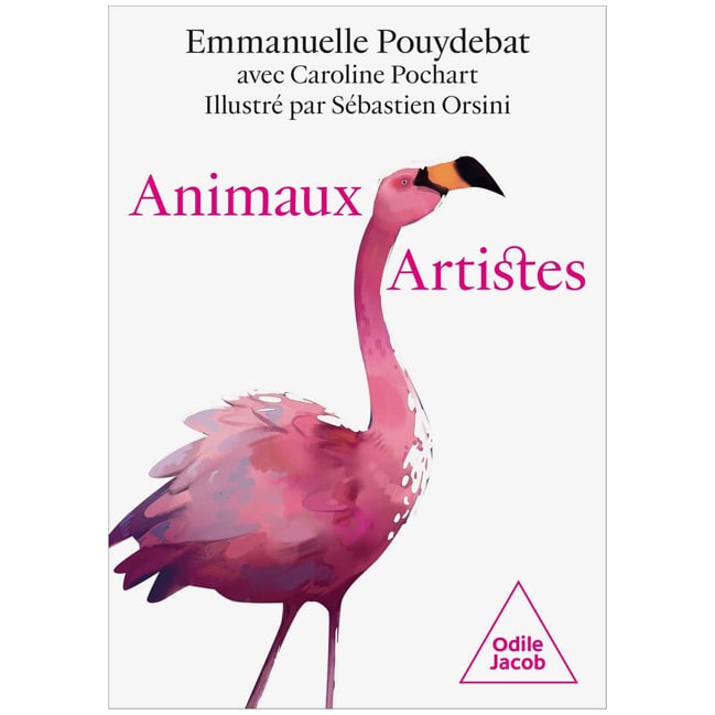 Animaux artistes