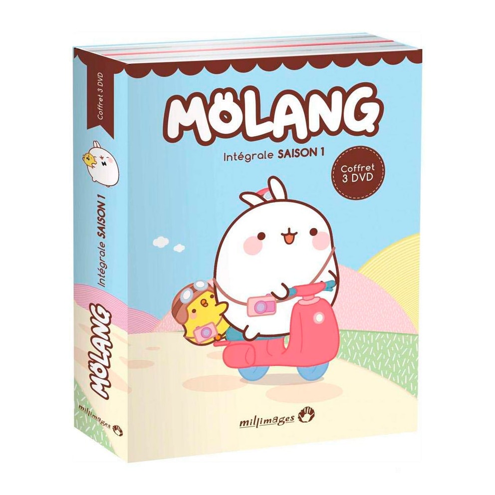 Coffret DVD Molang