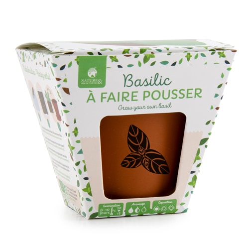 Pot de basilic à faire pousser