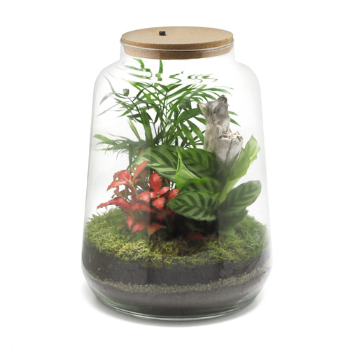 Terrarium lumineux améthyste