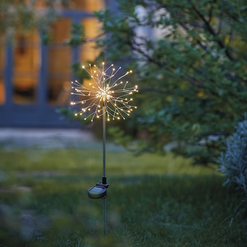 Fleur de pissenlit solaire à planter