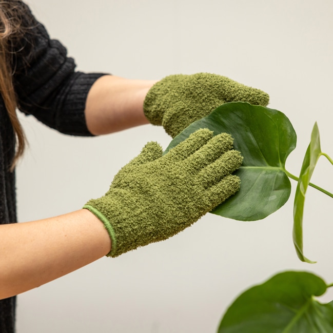 Gants de nettoyage pour plantes