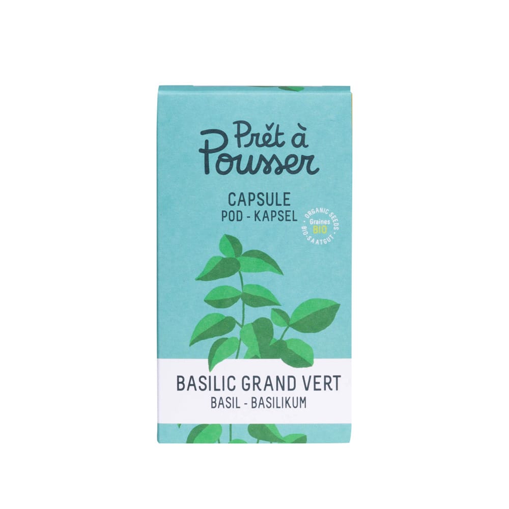 Capsule pour Modulo Basilic Grand Vert