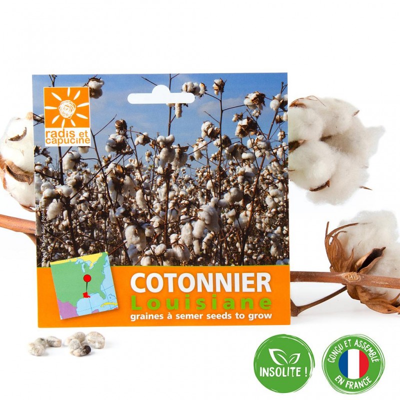 Sachet de graines de cotonnier