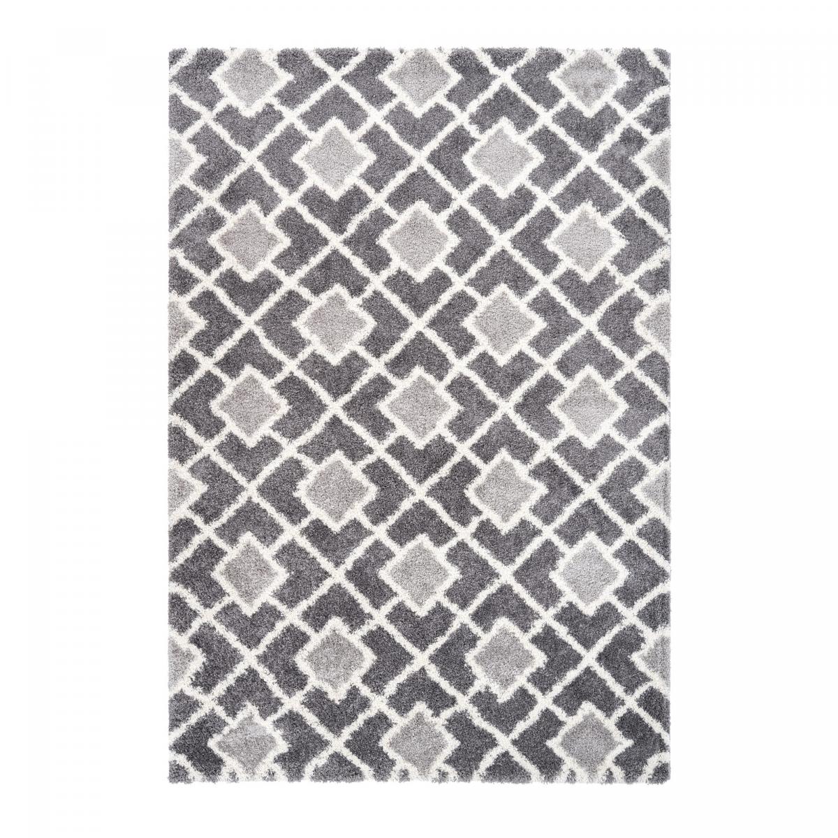 Tapis shaggy 80x150 gris