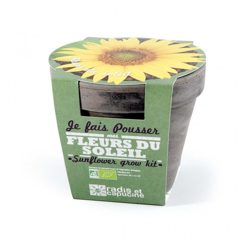 Pot basalte  pour tournesols nains