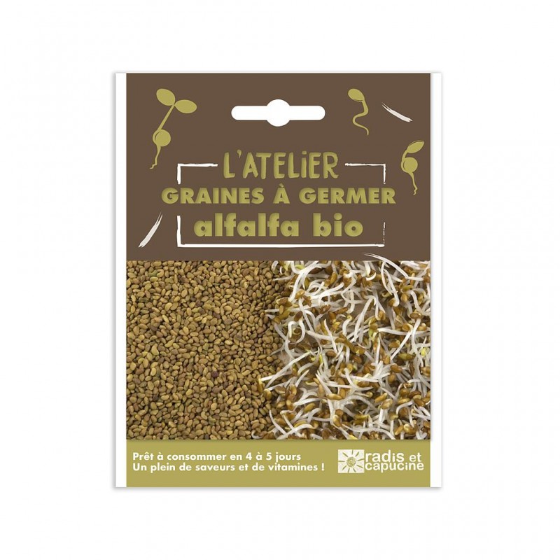 Graines à germer alfalfa bio 50 g diy