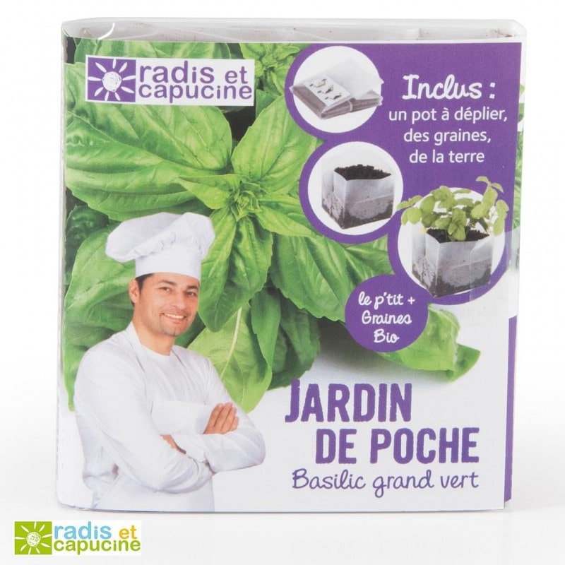 Jardin de poche basilic