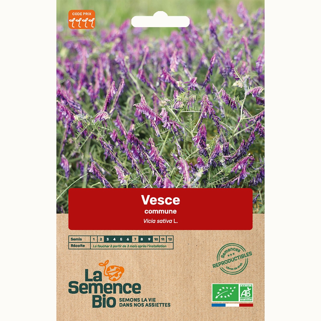 Vesce commune  bio