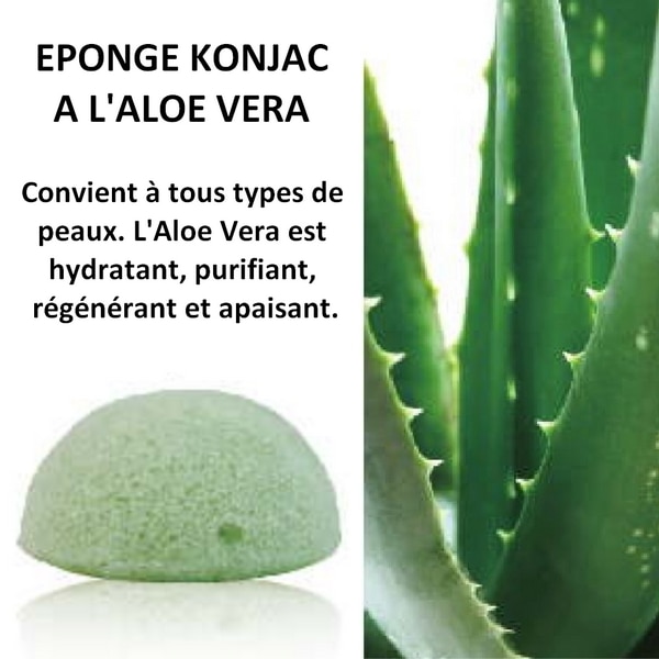 Eponge konjac à l'aloe vera