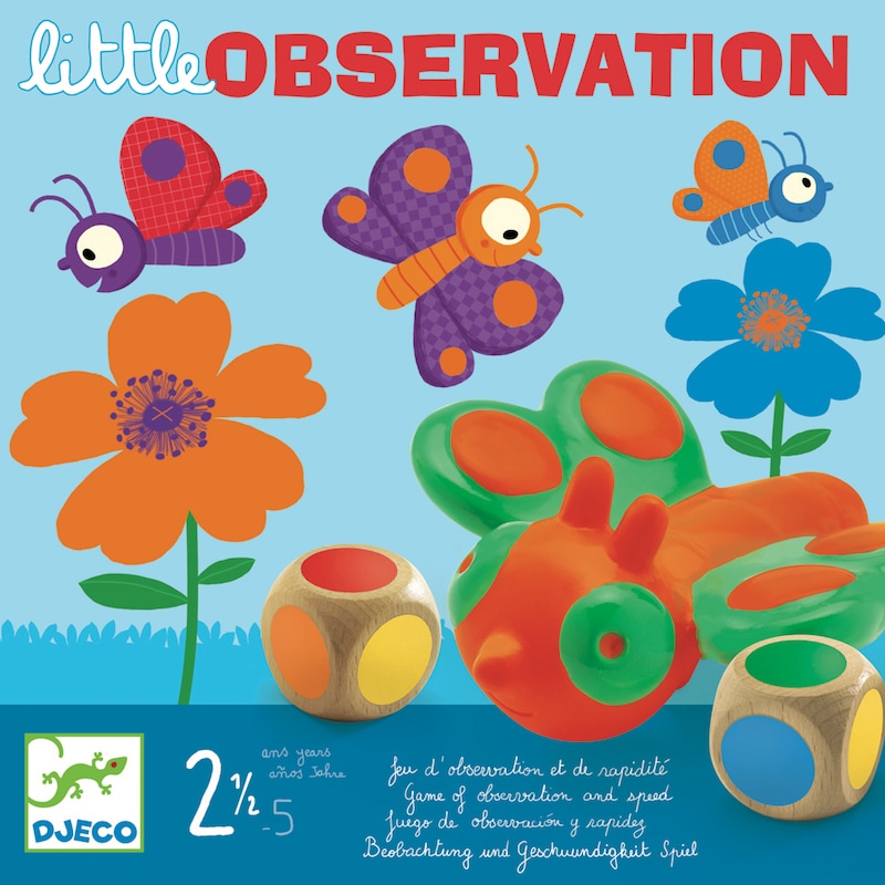 Jeu des tout petits 2,5-5y observation