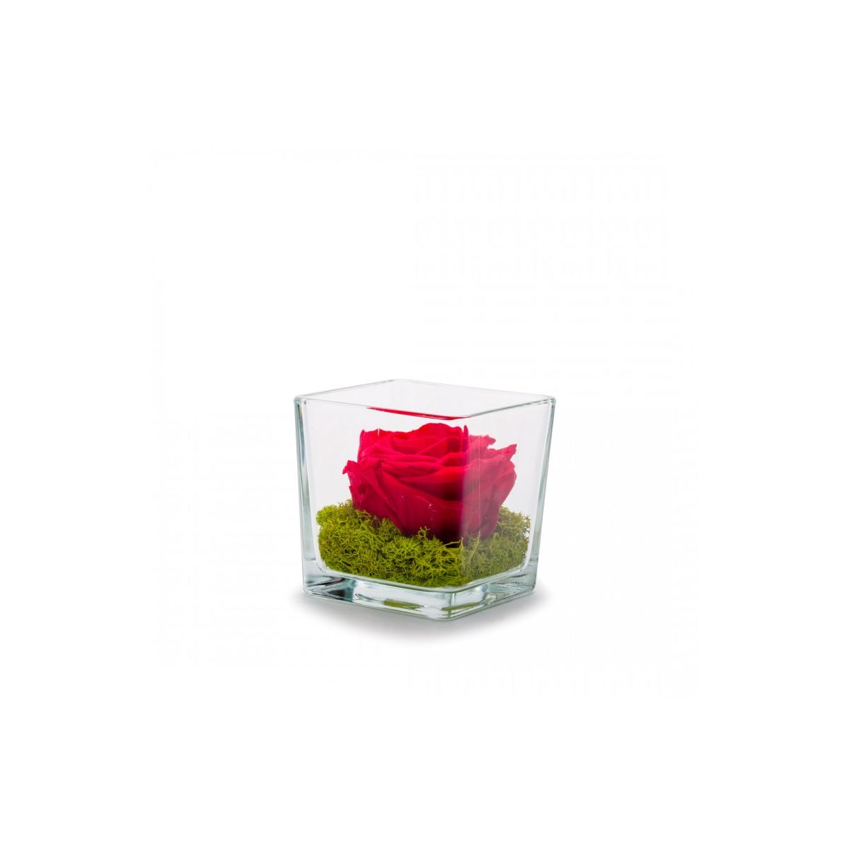 Verrine genova 10 cm rose stabilisée