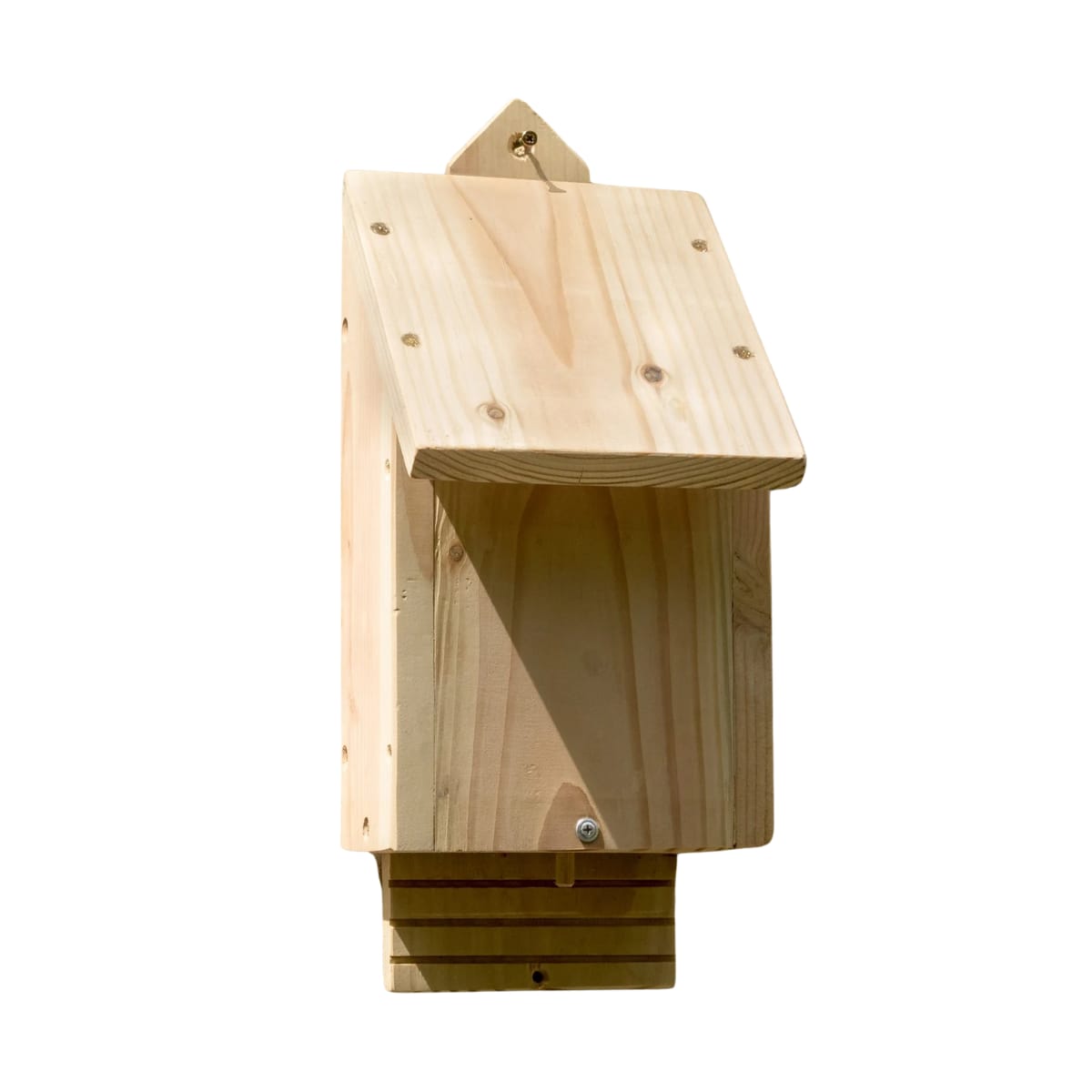 Habitat simple pour chauve souris