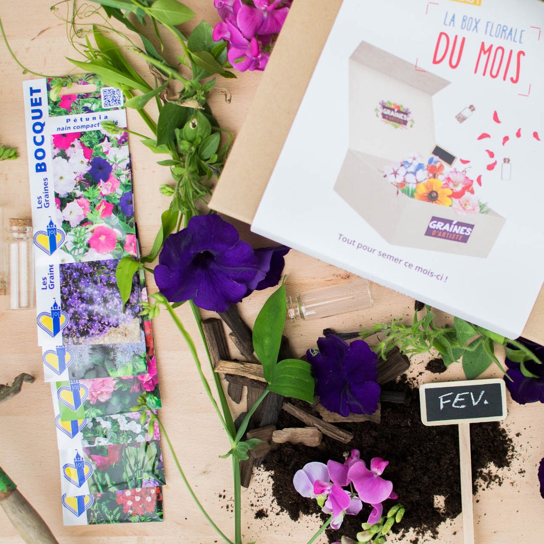 Box graines de fleurs à semer en février