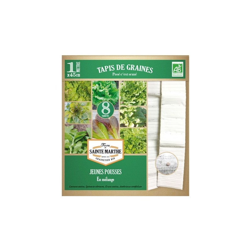 Tapis de graines de jeunes pousses bio