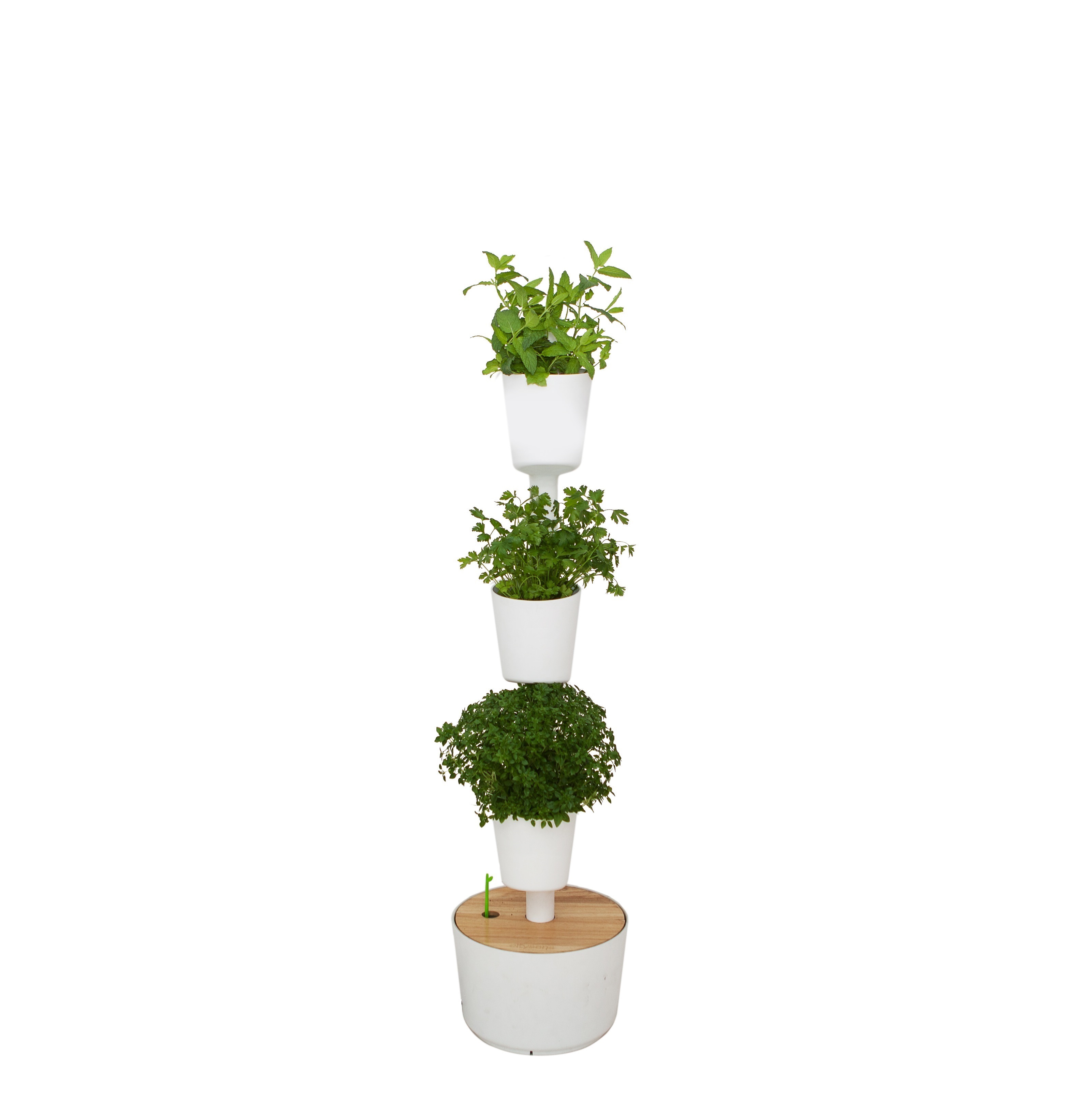 Jardinière verticale à graines, 3 blanc