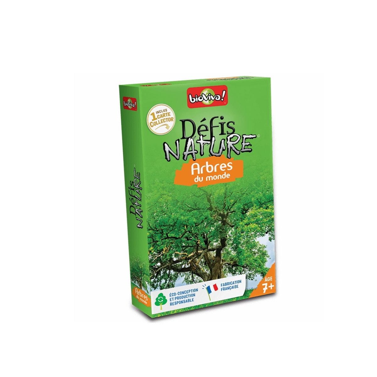 Défis nature : arbre du monde