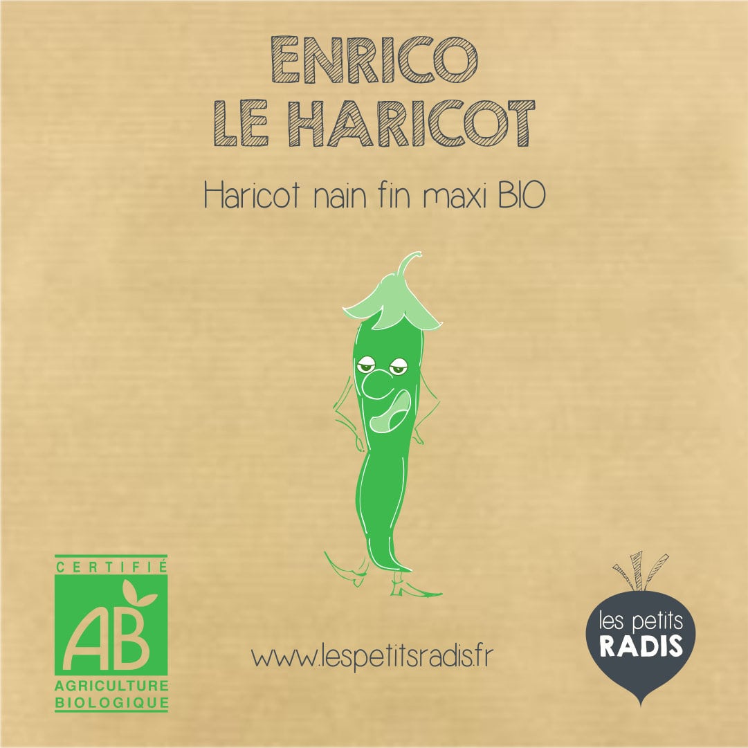 Mini kit enrico graines de haricots bio