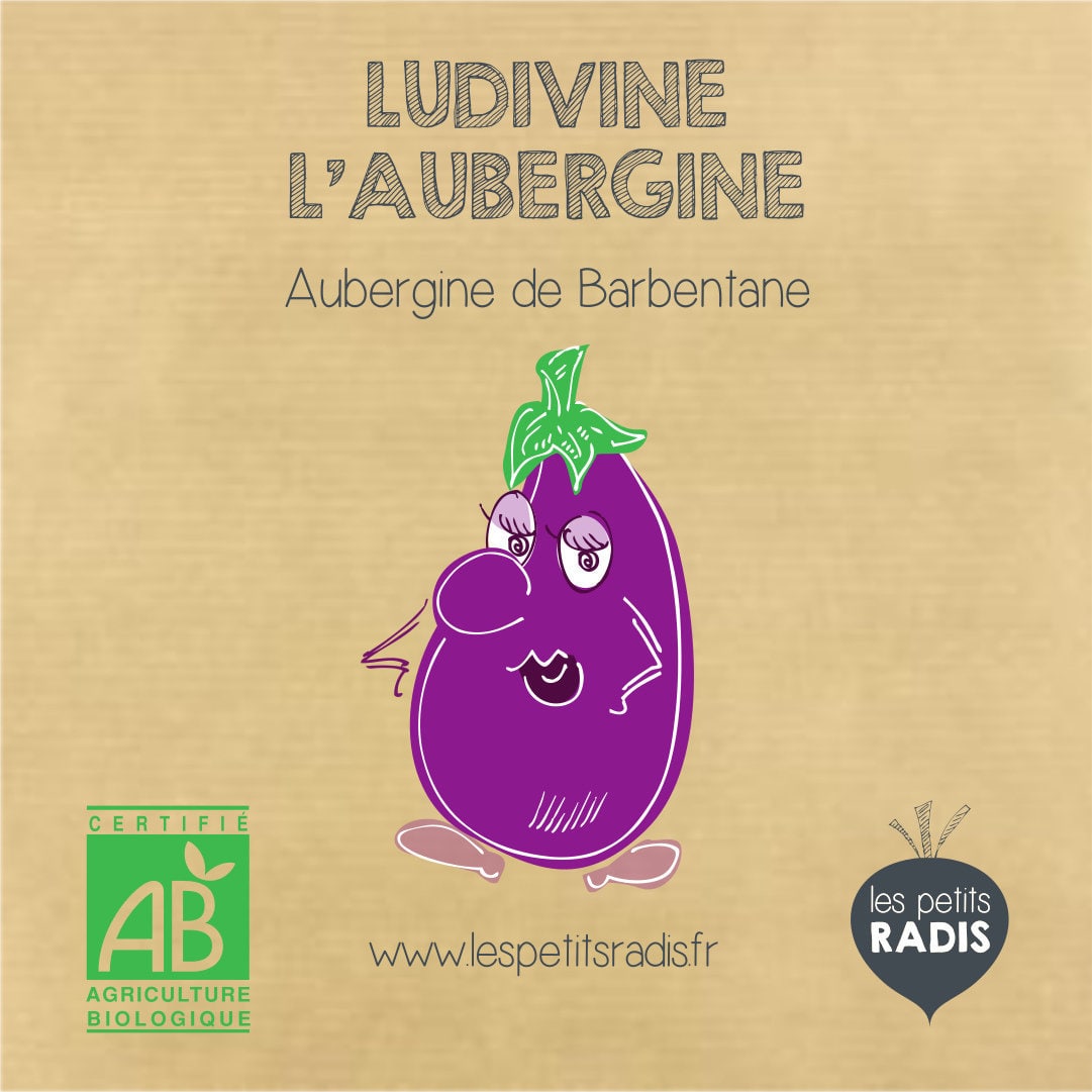 Mini kit de graines bio d'aubergine