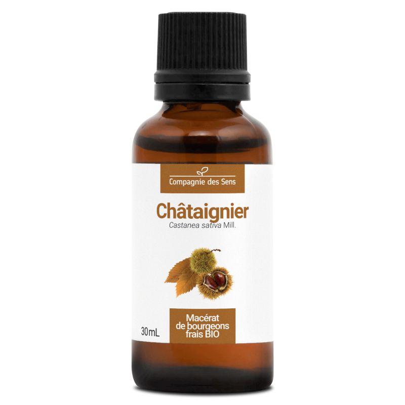 Châtaignier - macérat de bourgeons 30ml 30