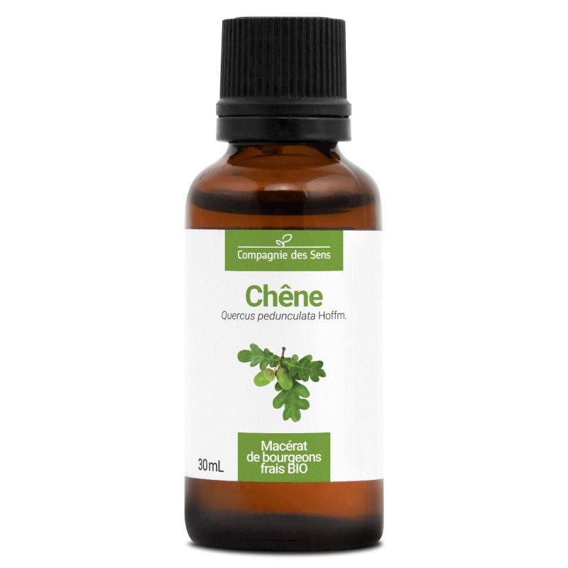 Chêne - macérat de bourgeons - 30ml 30