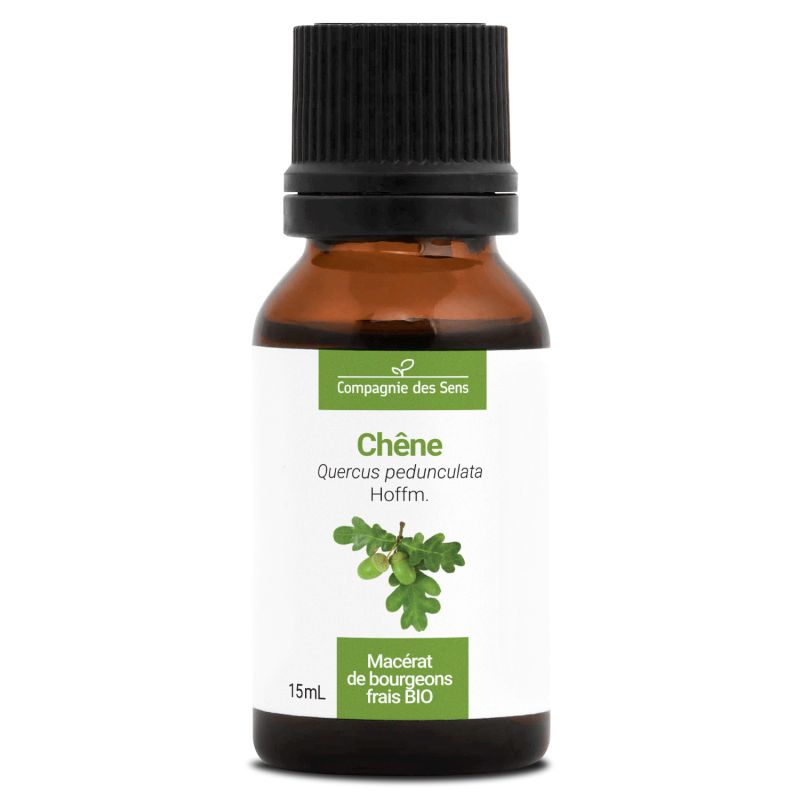 Chêne - macérat de bourgeons - 15ml  15