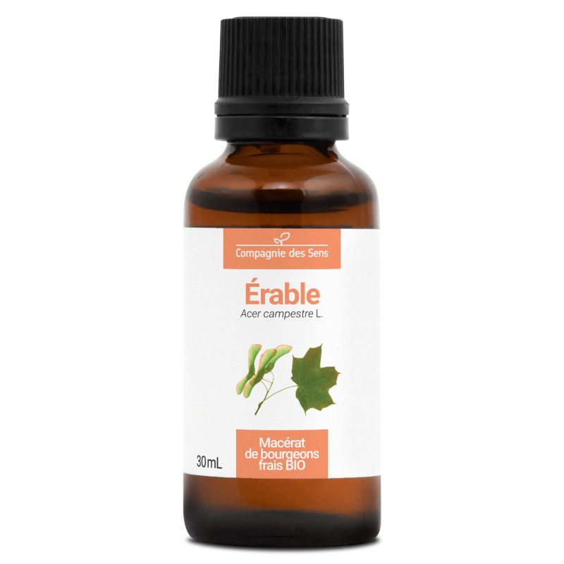 Érable bio - 30ml 30