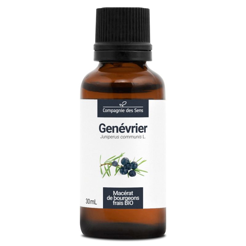 Genévrier macérat bourgeons bio 30ml 30