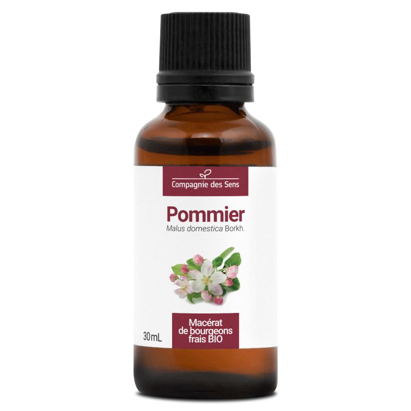 Pommier - macérat bourgeons bio 30ml 30