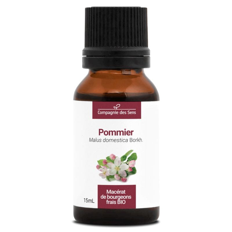 Pommier - macérat bourgeons bio 15ml 15