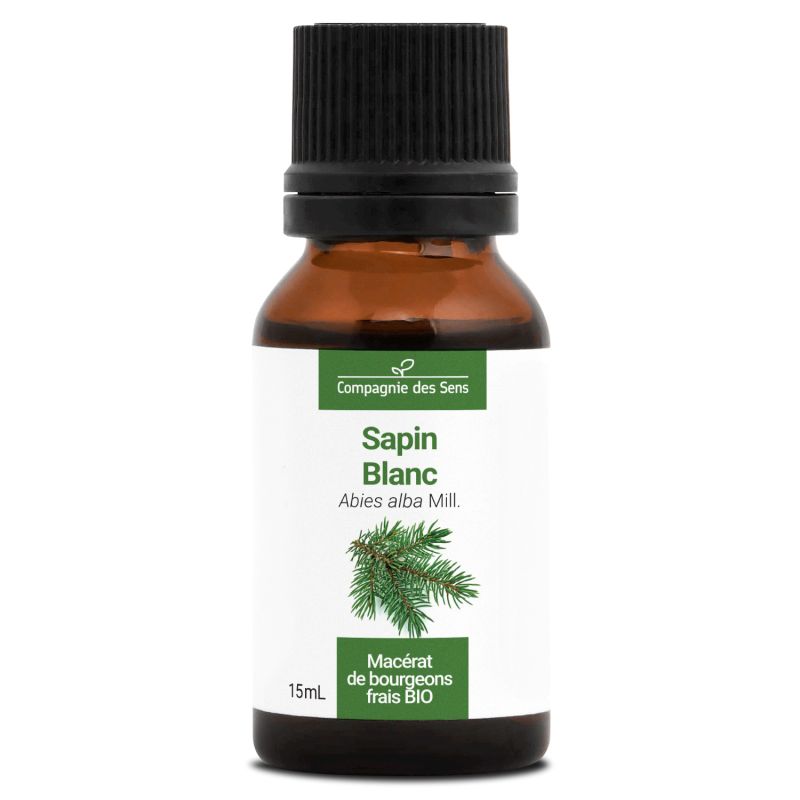 Sapin blanc macérat bourgeons bio 15ml 15