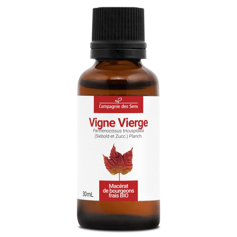 Vigne vierge bio - 30ml 30