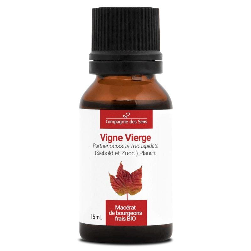 Vigne vierge macérat bourgeons bio 15ml 15