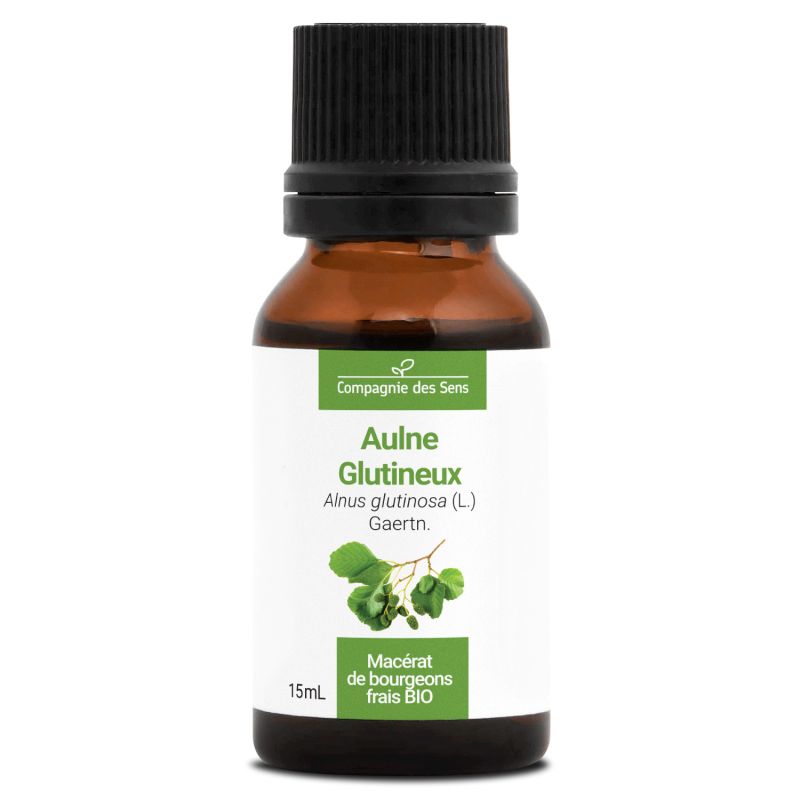 Aulne glutineux bio - 15ml 15