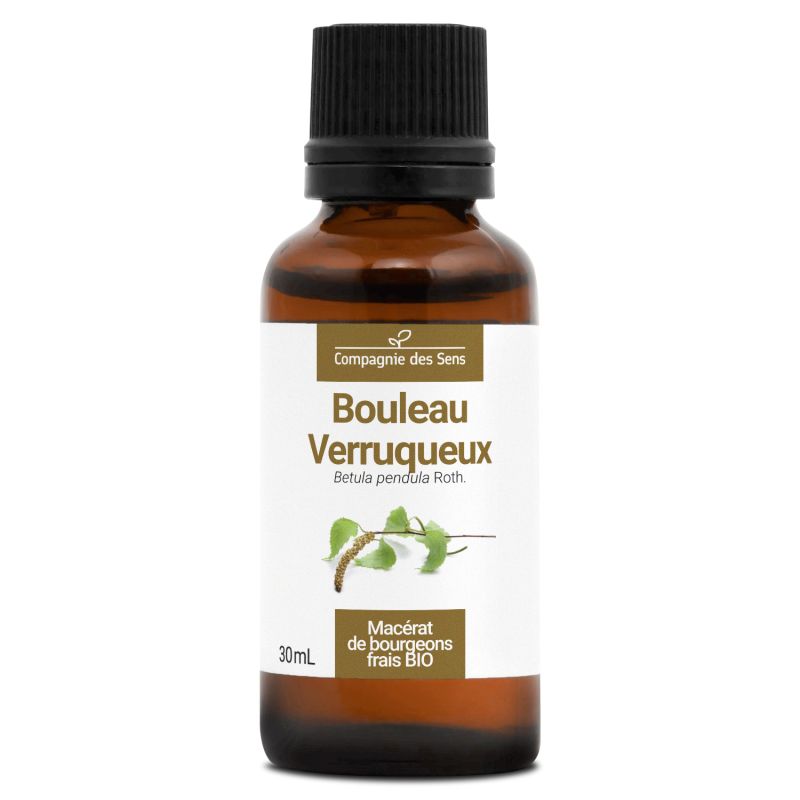 Bouleau verruqueux bio - 30ml 30