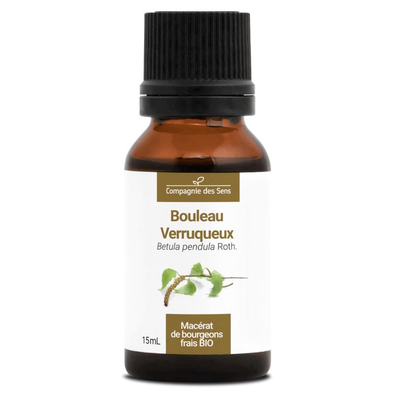 Bouleau verruqueux bio - 15ml 15