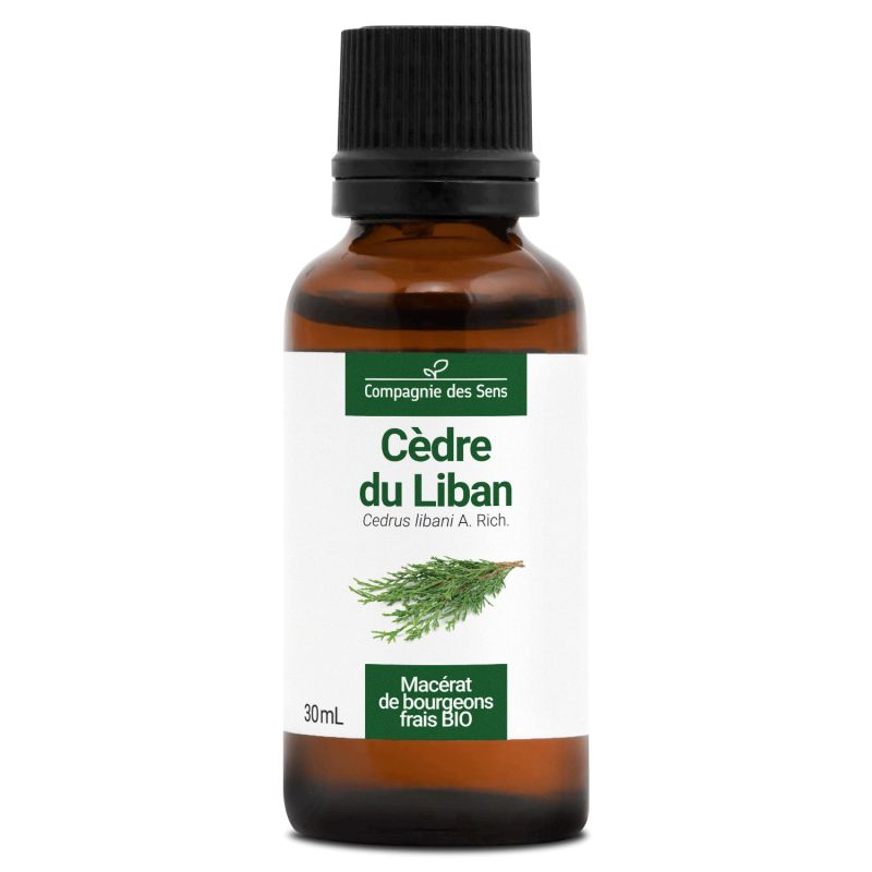 Cèdre du liban bio - 30ml 30