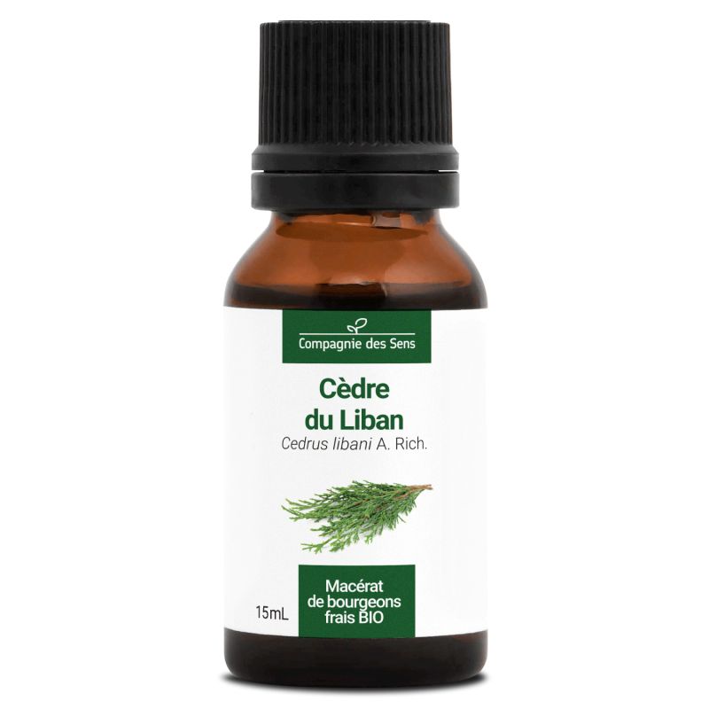 Cèdre du liban bio - 15ml 15