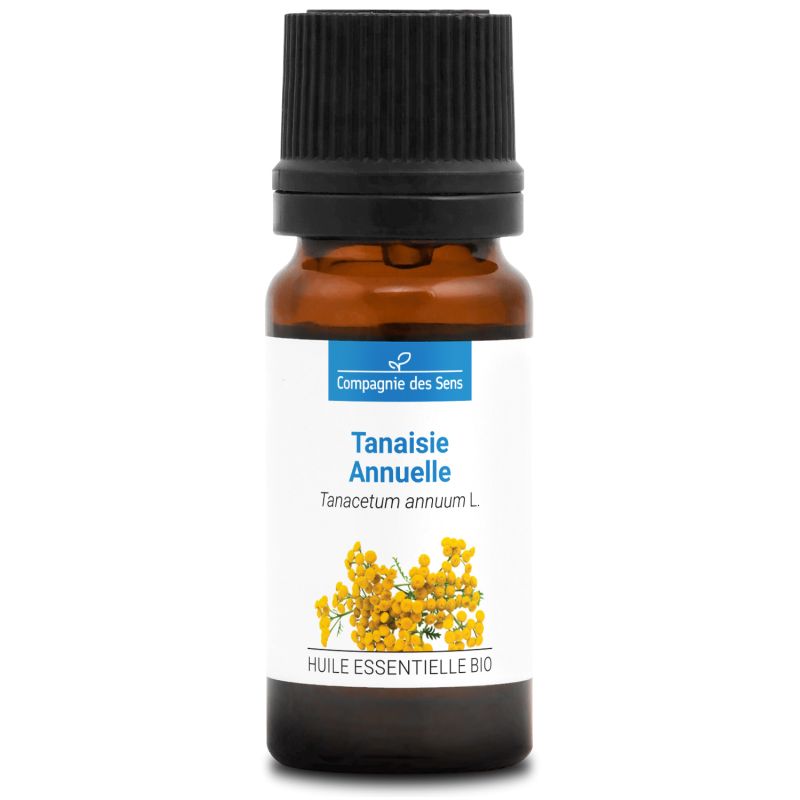 Tanaisie annuelle bio - 10ml