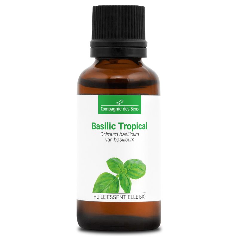 Basilic tropical bio - 30ml